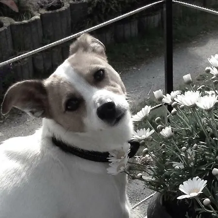 Fewo_ortszeit Appartamento